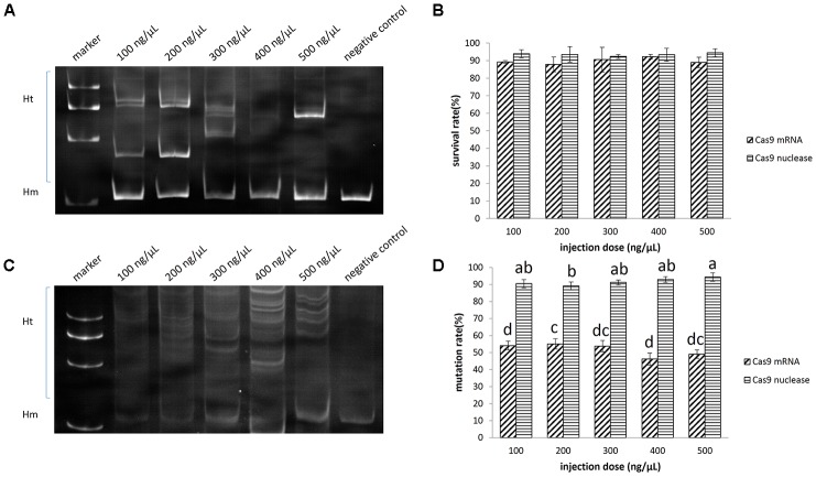 FIGURE 4