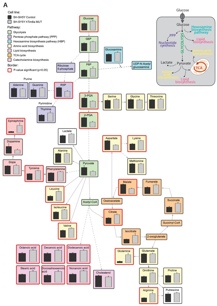 Figure 5—figure supplement 2.