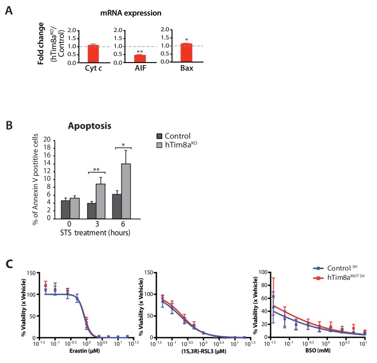 Figure 3—figure supplement 1.