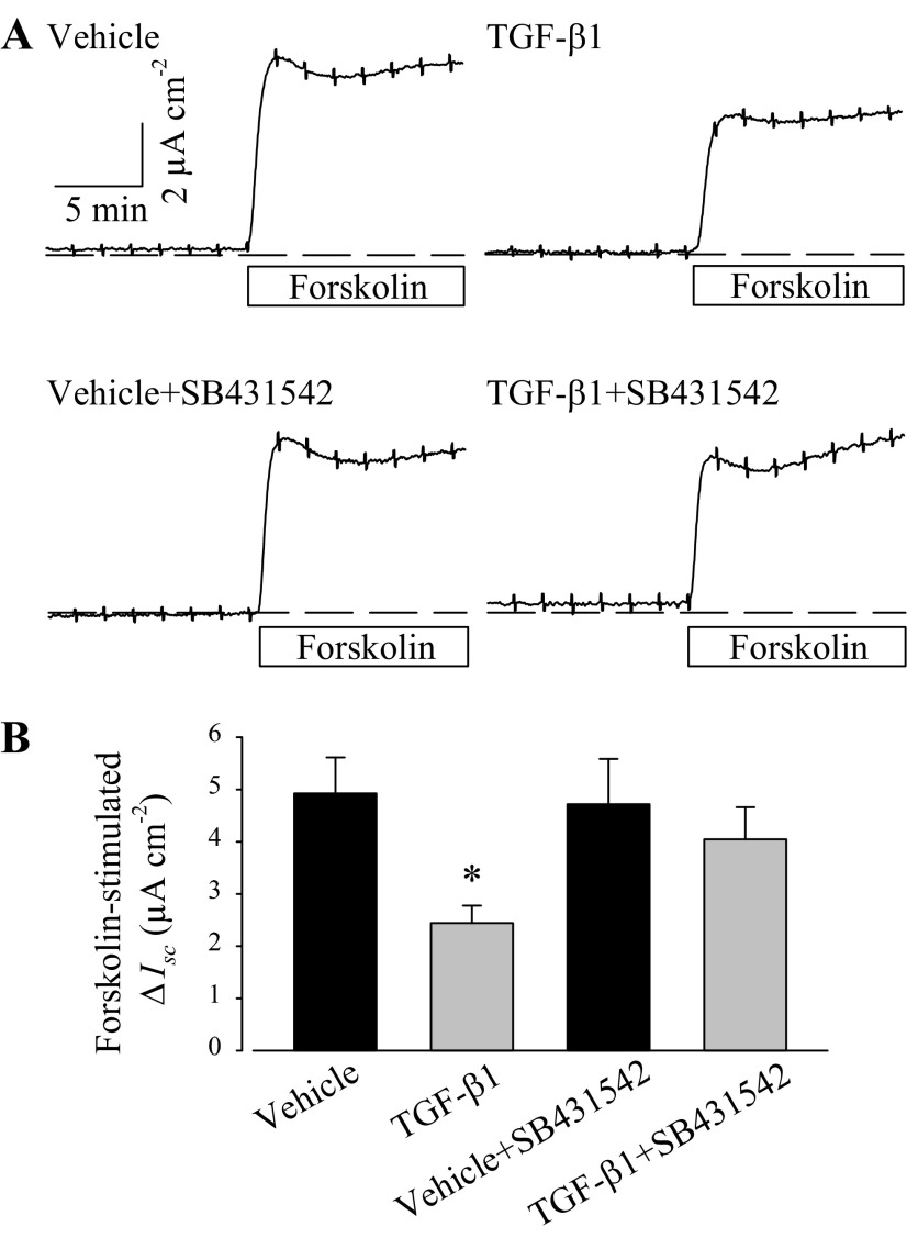 Fig. 7.