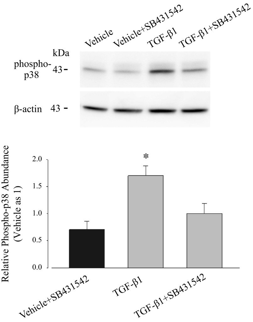 Fig. 9.