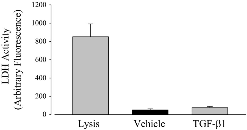 Fig. 12.