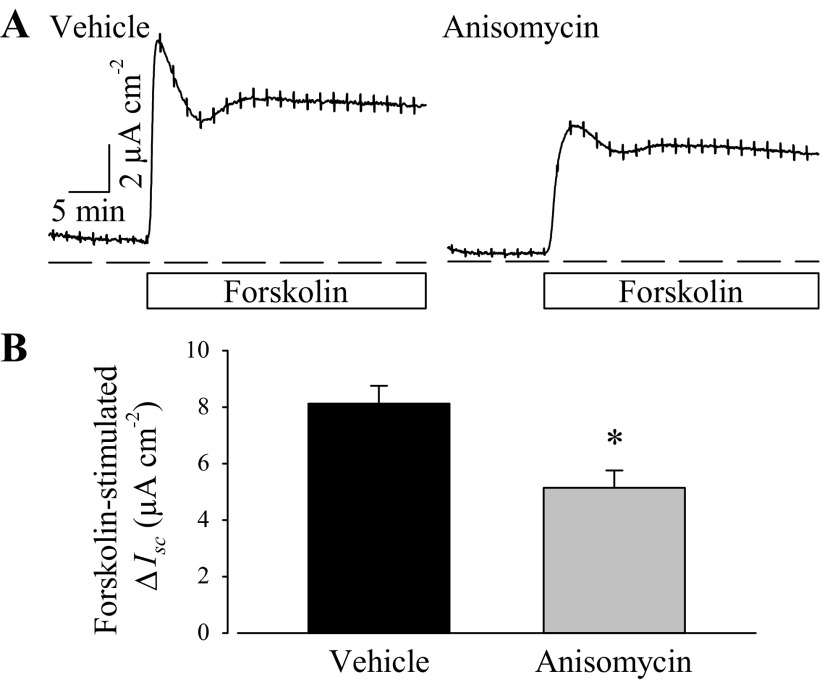 Fig. 10.