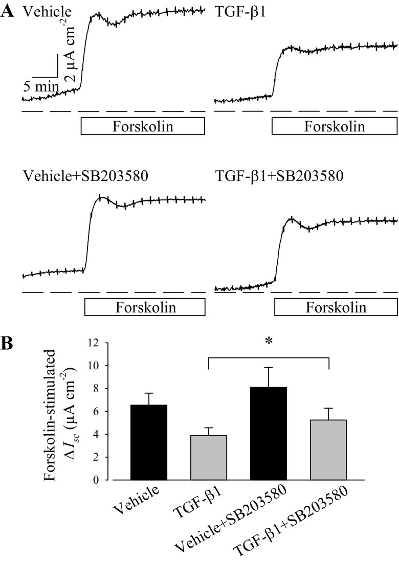 Fig. 8.