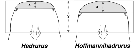 Figure 17.