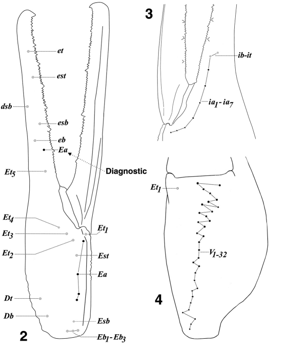 Figures 2–4.