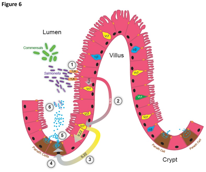 Figure 6