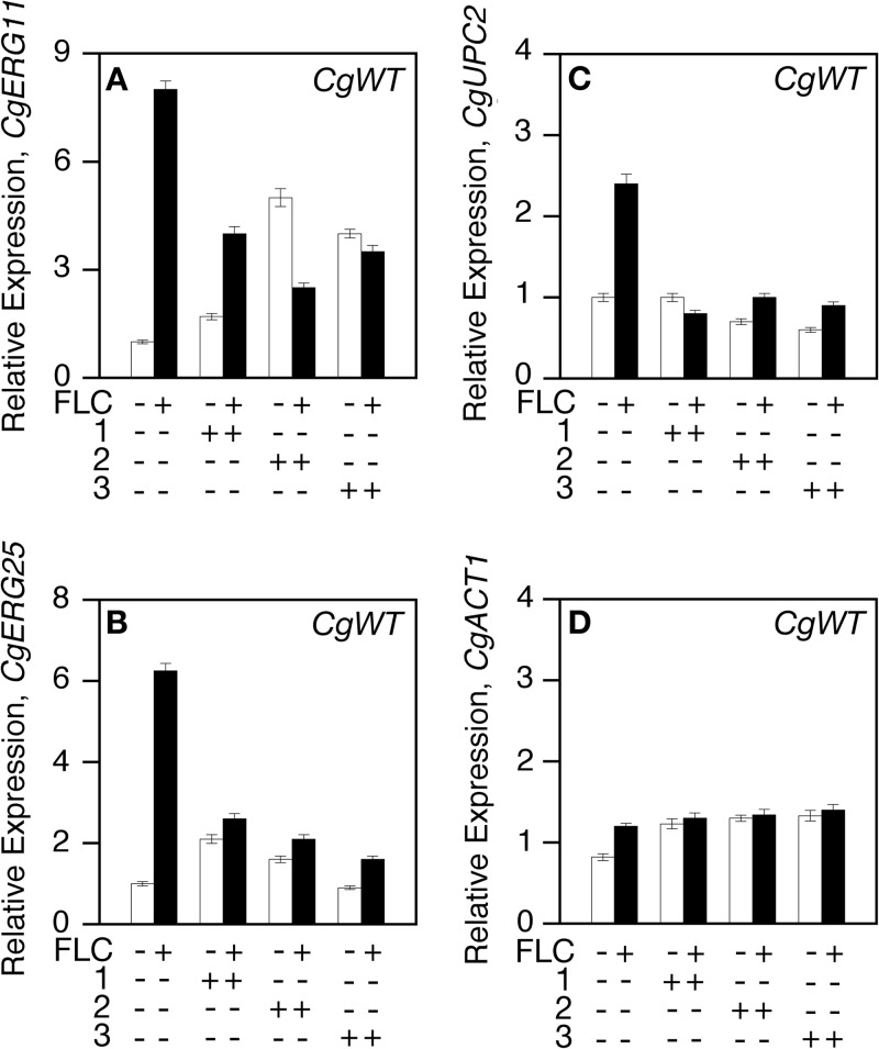 FIG 6