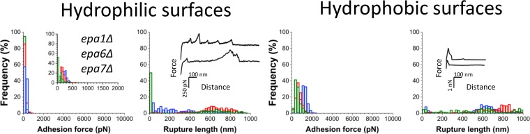 FIG 3