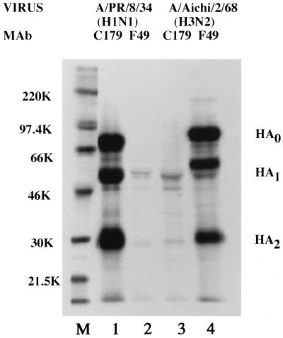 FIG. 1