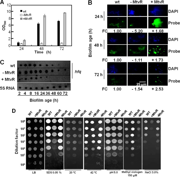 Fig 4