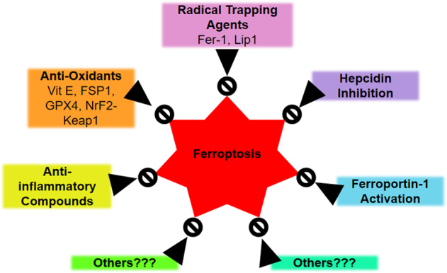 Fig. 4