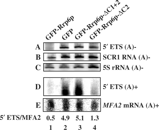 Figure 7.