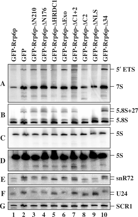 Figure 6.