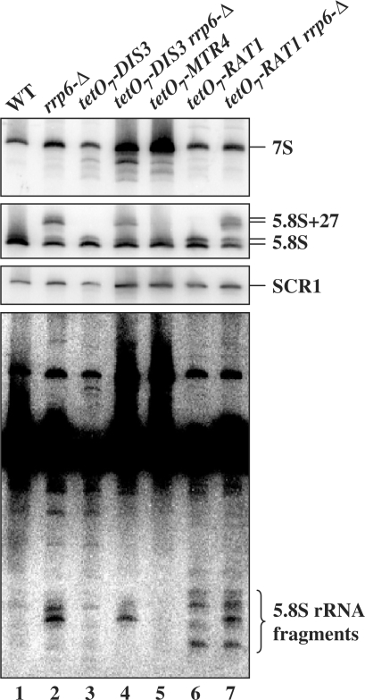 Figure 4.