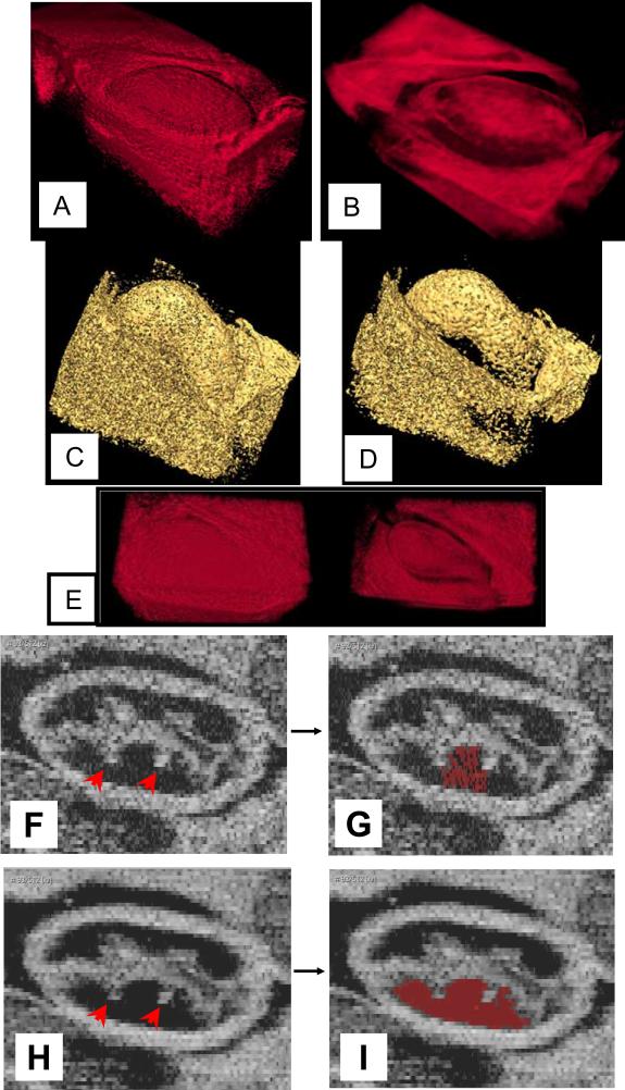 Fig. 9