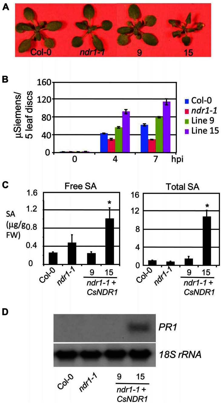 FIGURE 4