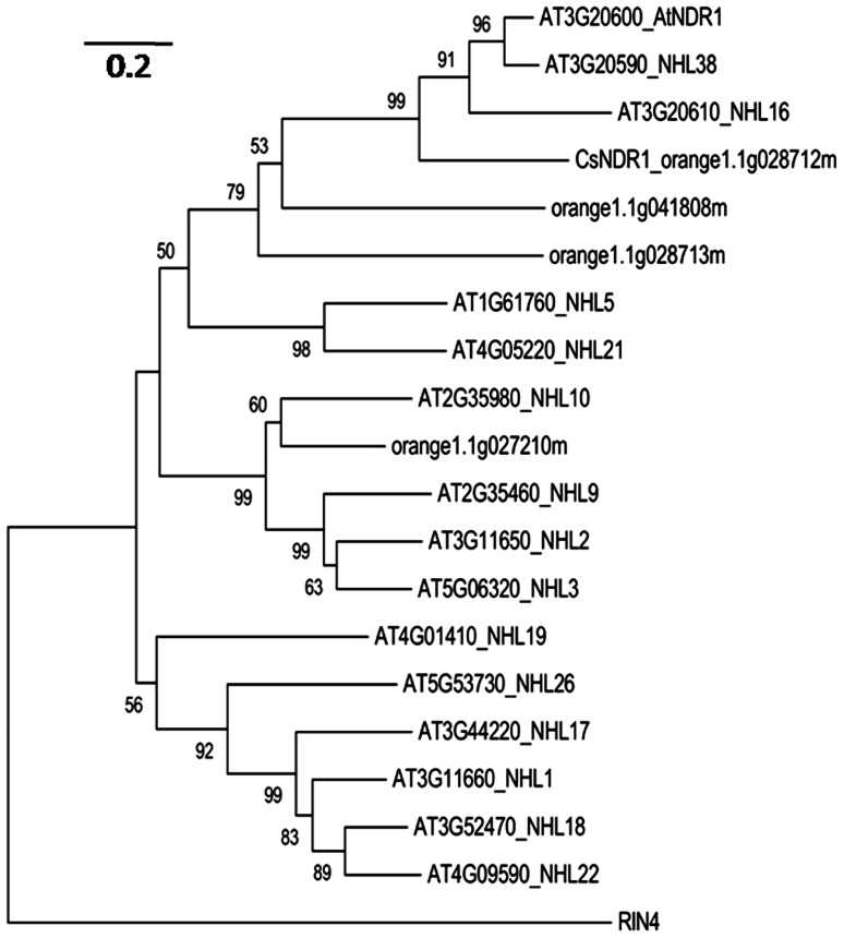 FIGURE 1