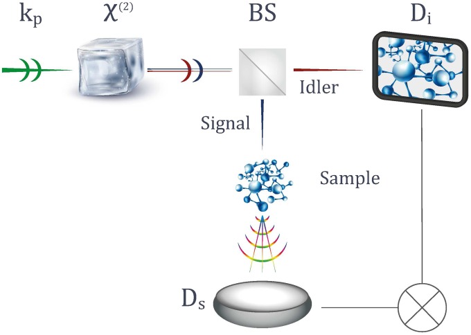 Fig. 1.