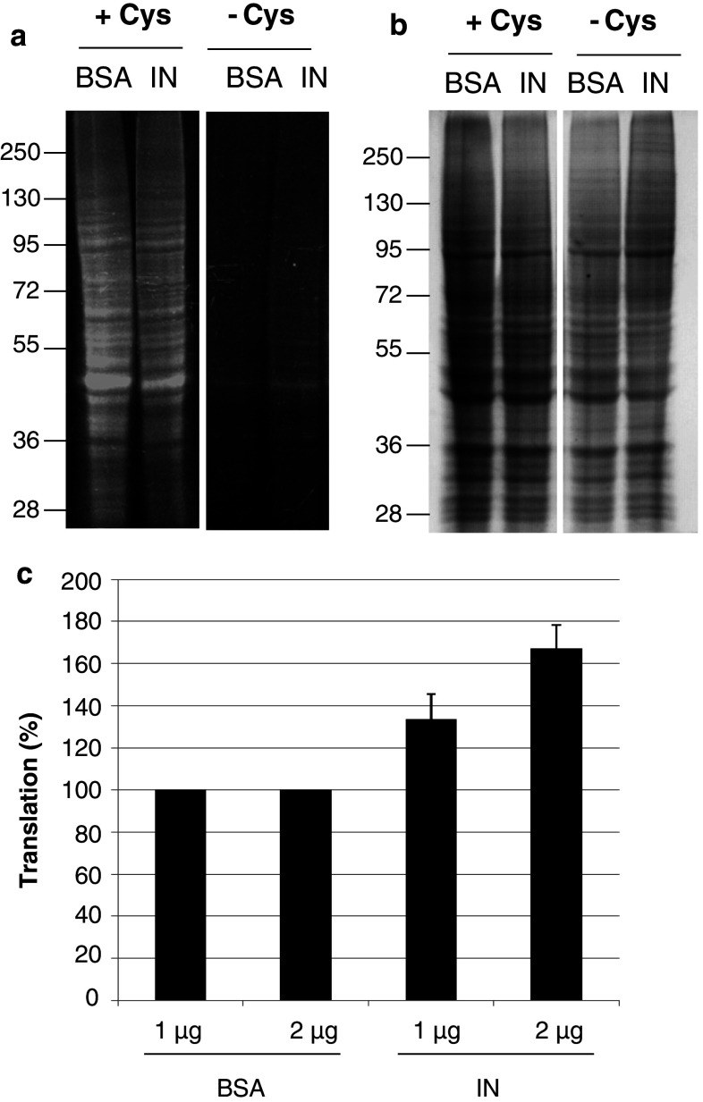 Fig. 6