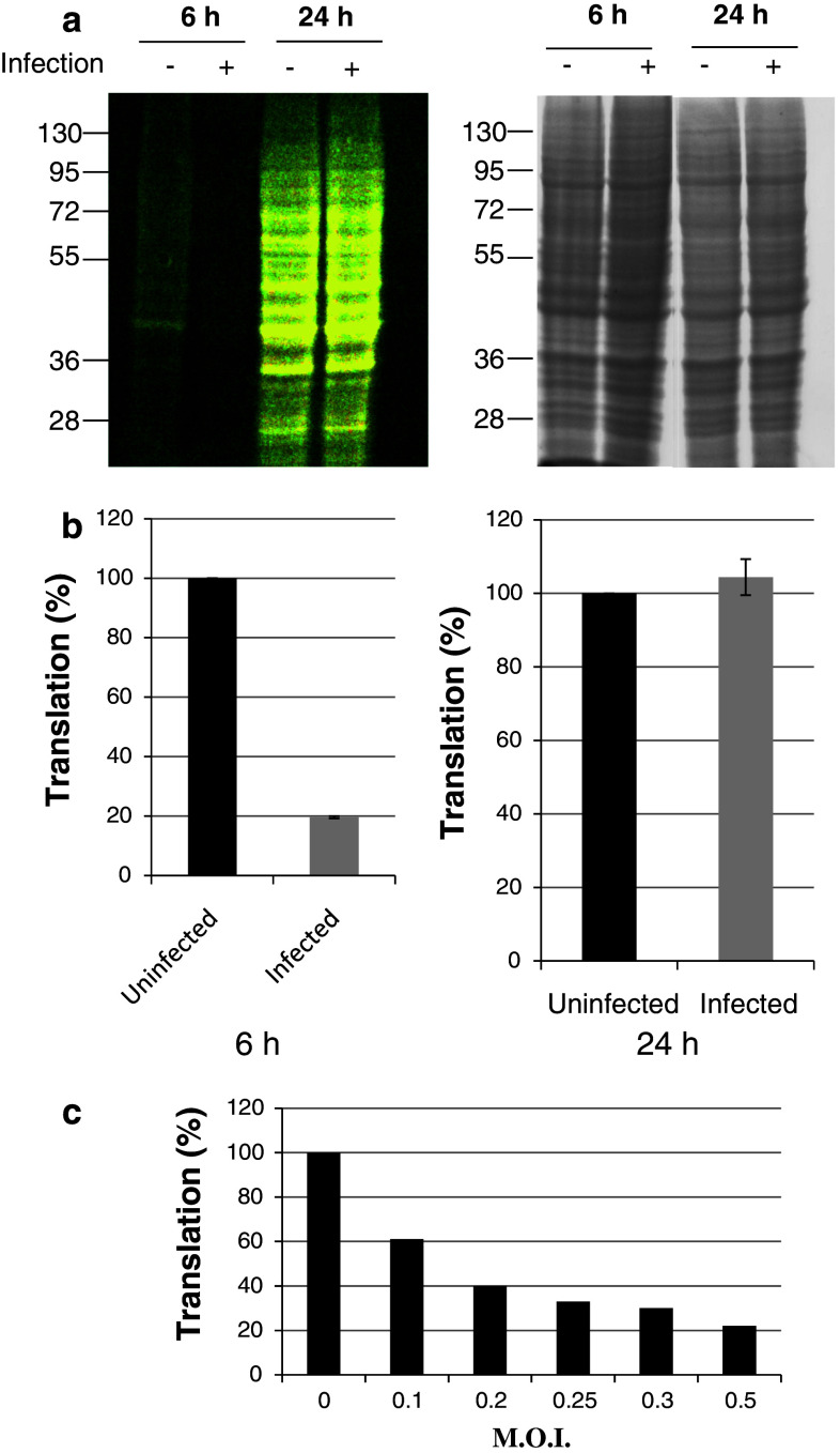 Fig. 3