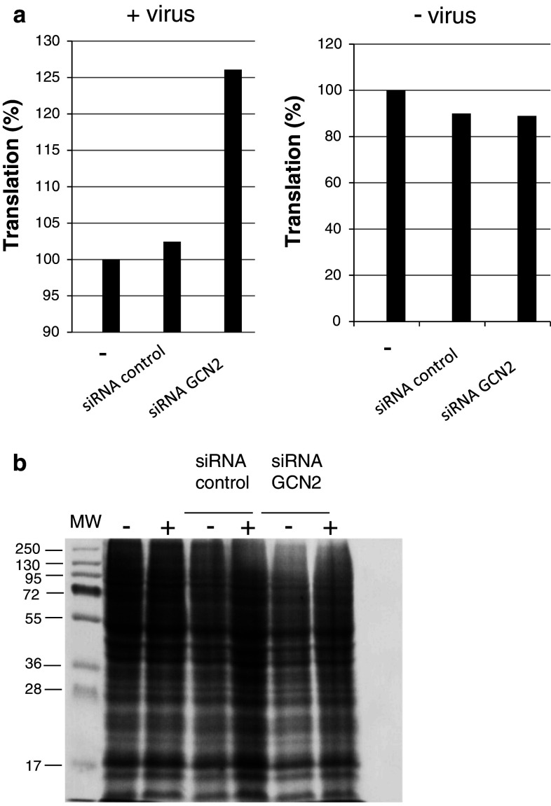 Fig. 4