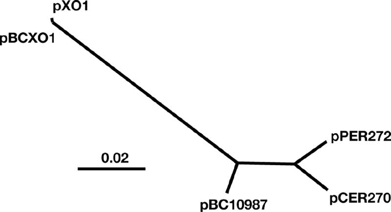 FIG. 3.