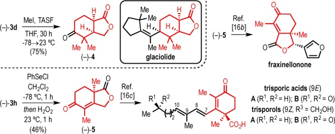 Scheme 3