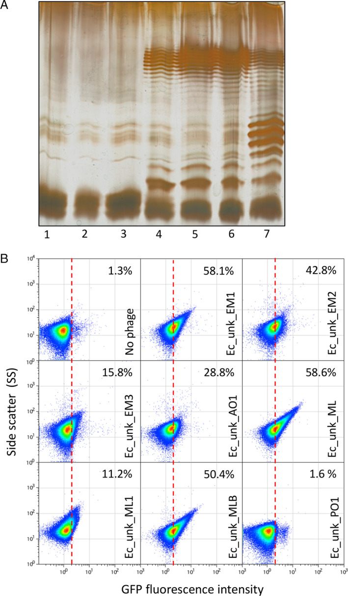 Fig 6