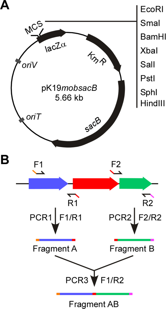 Figure 1: