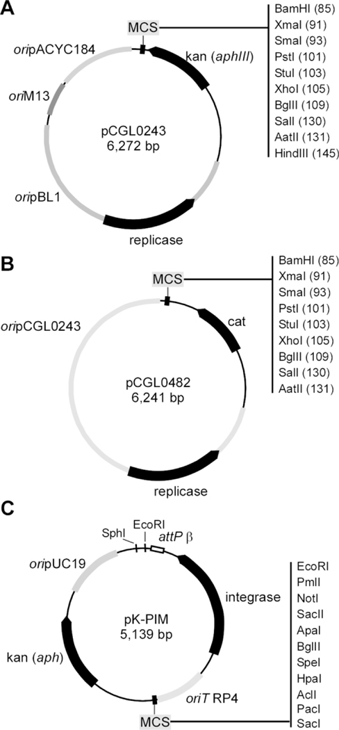 Figure 2: