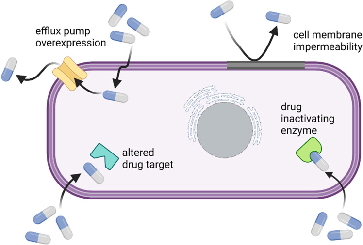 Figure 2: