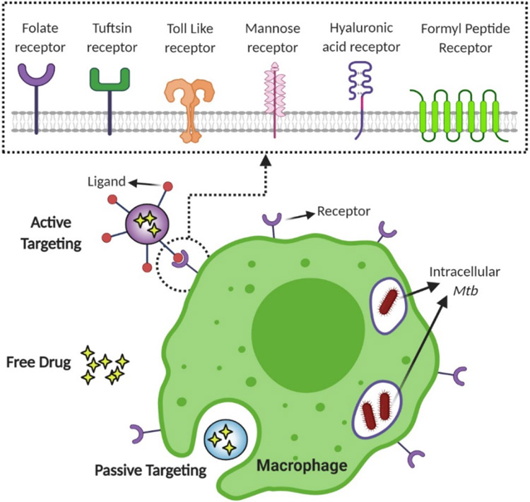 Figure 3: