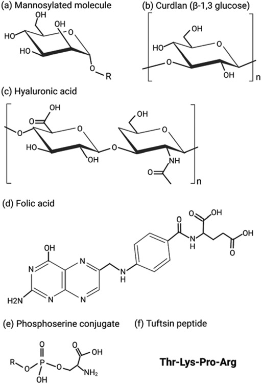 Figure 4: