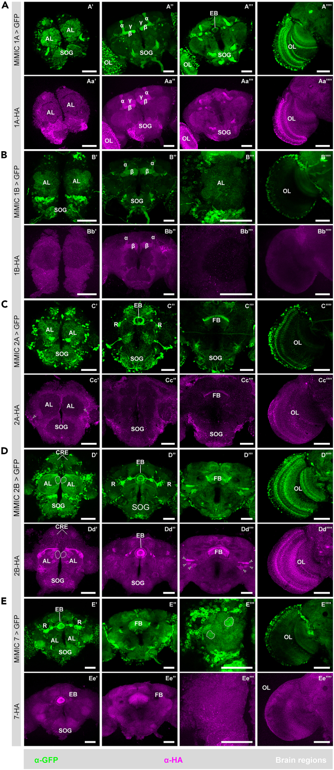 Figure 3