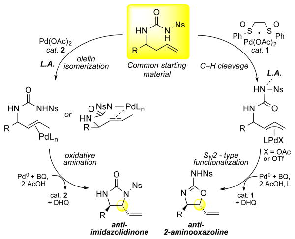 Scheme 6