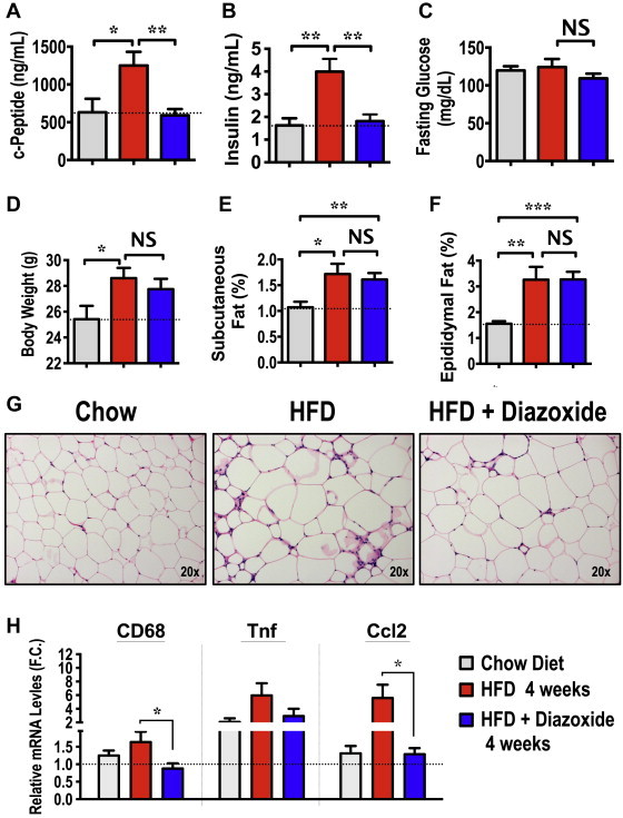 Figure 4