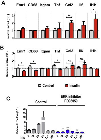 Figure 6