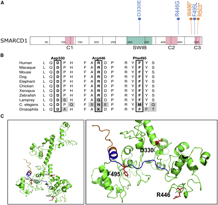 Figure 1