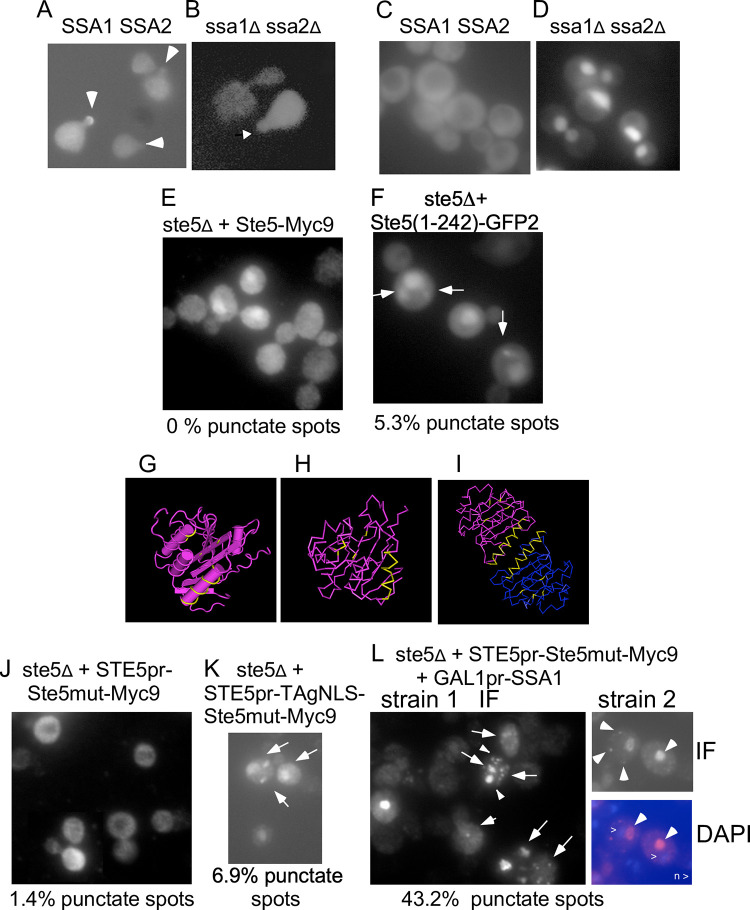 Fig 7