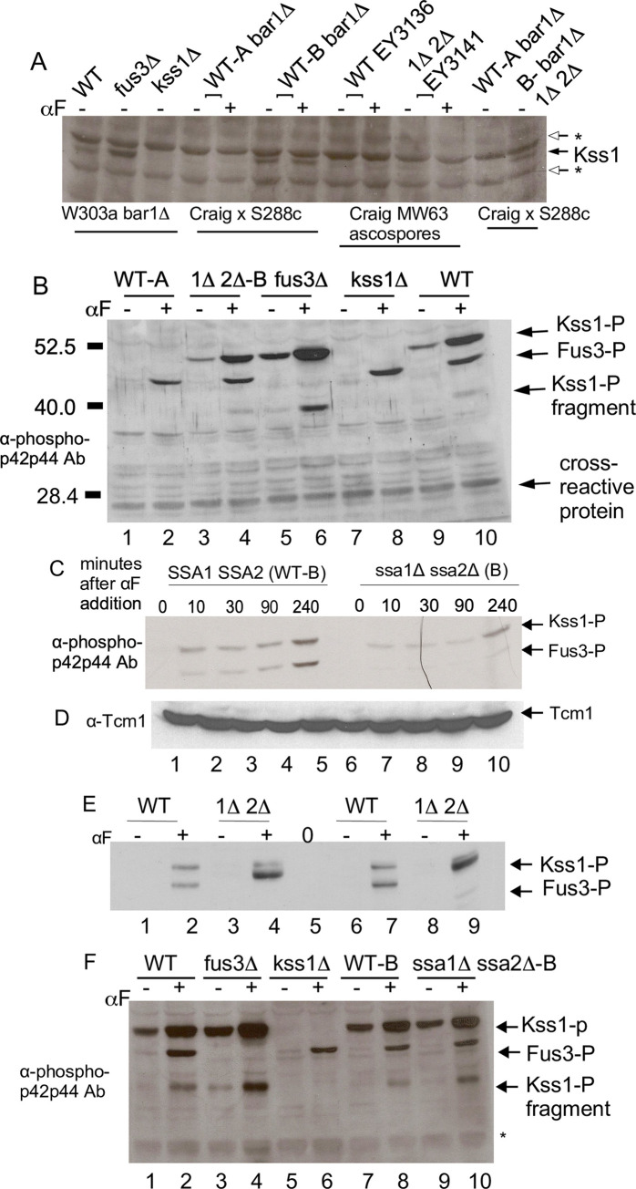 Fig 8