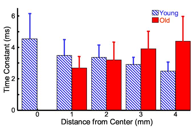 Fig. 10