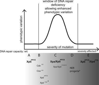 FIG. 5.