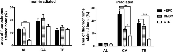 Fig. 9