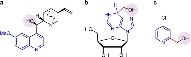 Fig. 1