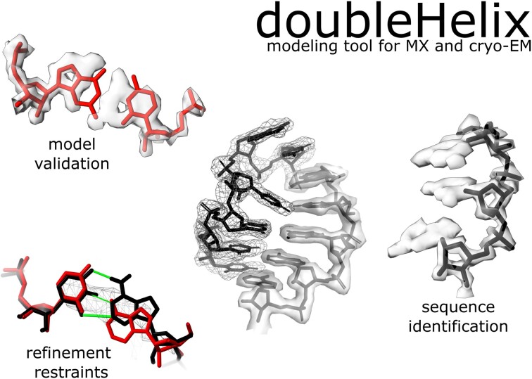 Graphical Abstract