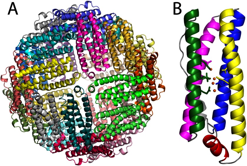 FIGURE 1.