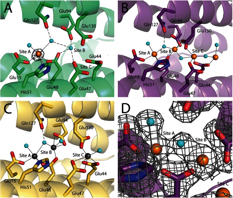 FIGURE 2.