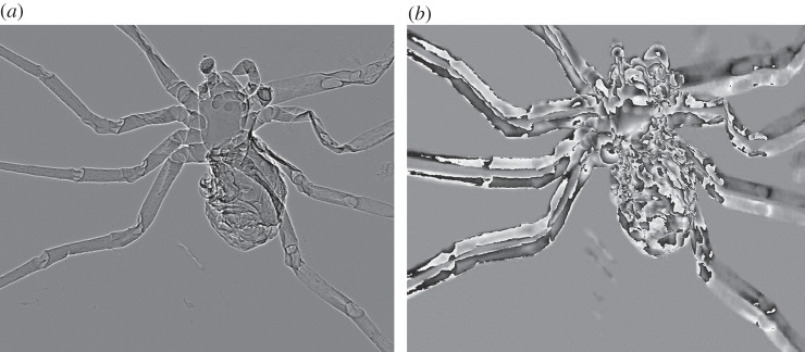 Figure 5.