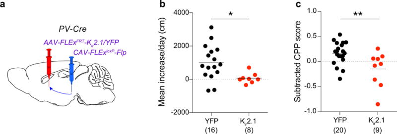 Extended Data Figure 6